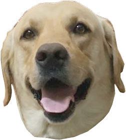 Borker of Secrets